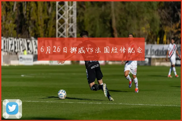 6月26日挪威vs法国短传配合