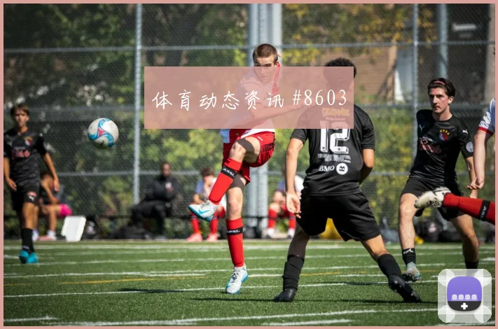 卡马文加世界杯小组赛压迫强度观察