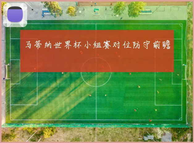 马蒂纳世界杯小组赛对位防守前瞻