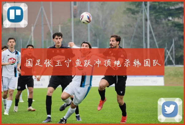 国足张玉宁鱼跃冲顶绝杀韩国队