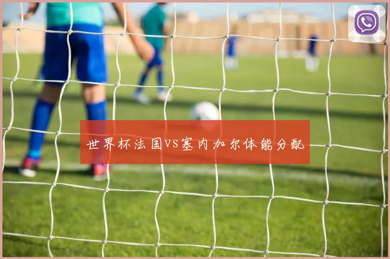 世界杯法国vs塞内加尔体能分配