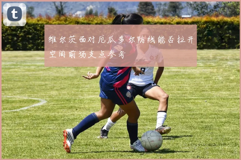 维尔茨面对厄瓜多尔防线能否拉开空间前场支点参考