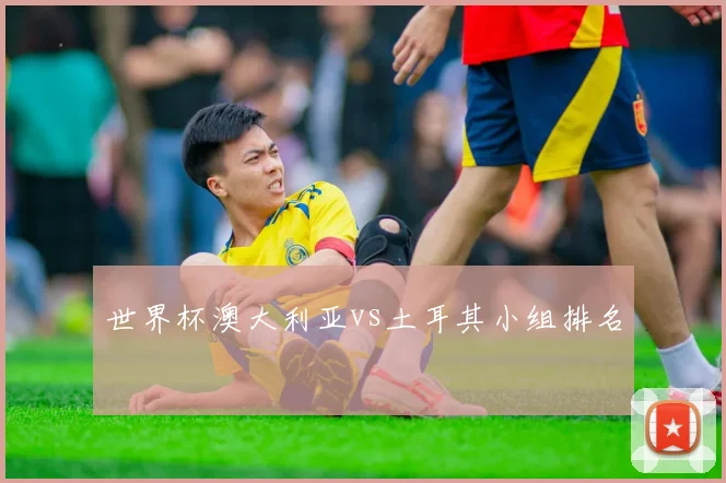 世界杯澳大利亚vs土耳其小组排名